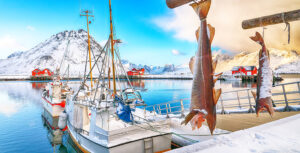Paysage de pêche en Norvège