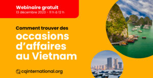 visuel promo webinaire occasions d'affaires au Vietnam